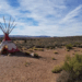 tribal arizona native