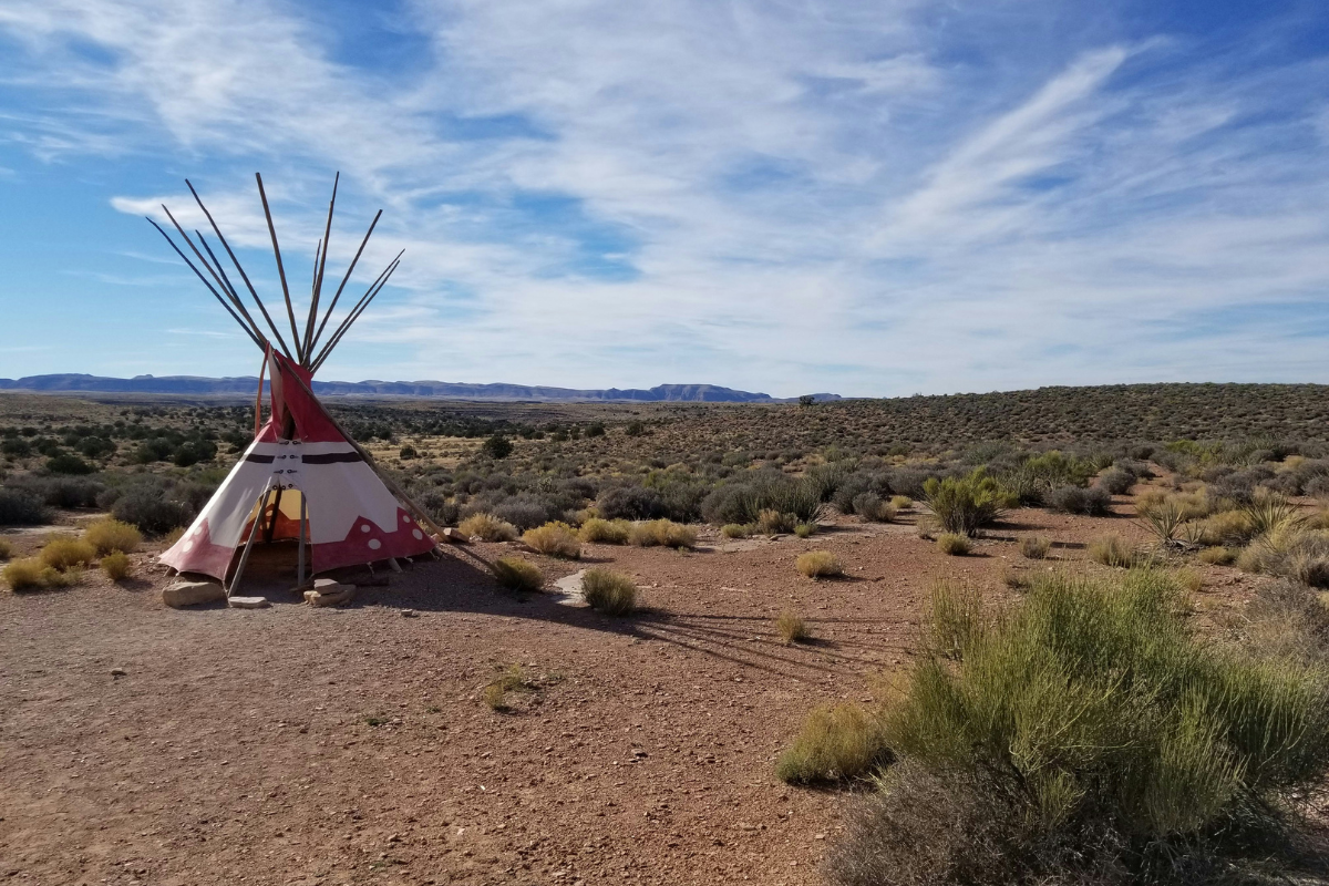 tribal arizona native