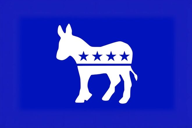 Democratic Party Votes to Remove Robert Branscomb from Chair