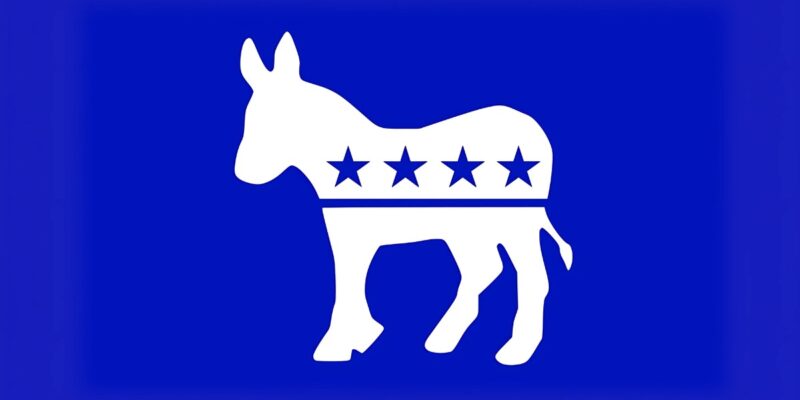 Democratic Party Votes to Remove Robert Branscomb from Chair