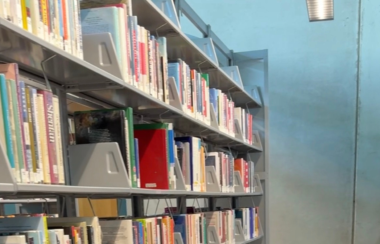 Why Was Jeffrey Epstein Mentioned During Arizona's Library Bill Hearing?