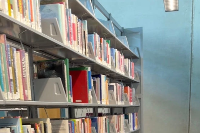 Why Was Jeffrey Epstein Mentioned During Arizona's Library Bill Hearing?