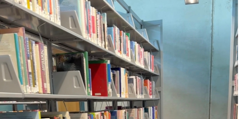 Why Was Jeffrey Epstein Mentioned During Arizona's Library Bill Hearing?