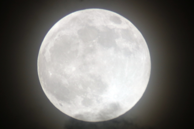 Arizona Aerospace Leaders Celebrated Artemis II Launch