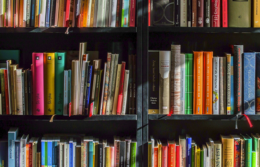 Adelita Grijalva Fights Back After Historic Library Loses $650,000 Over Drag Events