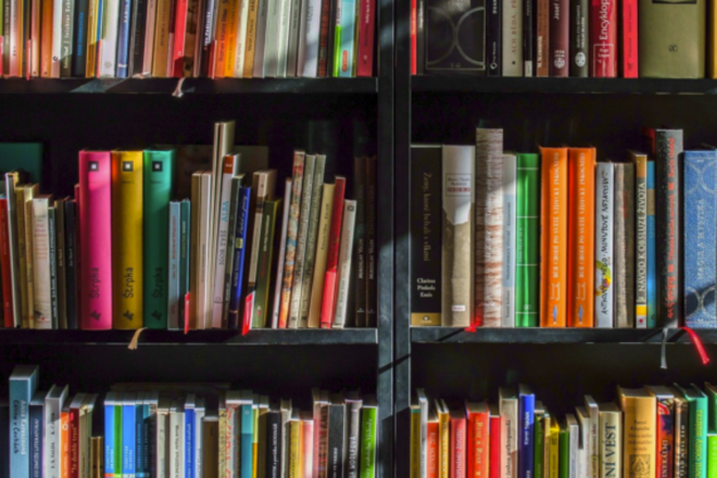 Adelita Grijalva Fights Back After Historic Library Loses $650,000 Over Drag Events
