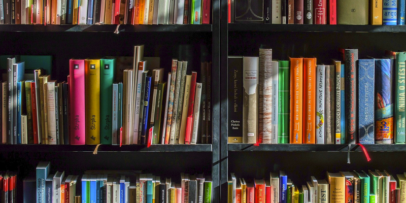 Adelita Grijalva Fights Back After Historic Library Loses $650,000 Over Drag Events